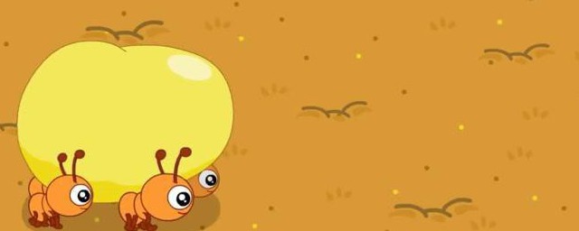 不同窝的蚂蚁放在一起会打架吗(不同窝的蚂蚁在一起会怎么样)