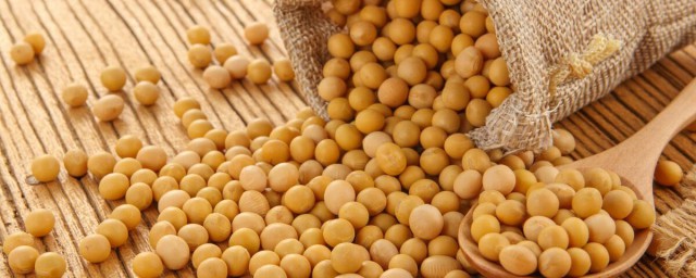 黄豆梗介绍(豆梗的意思)