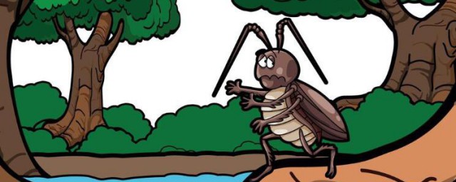 家里会有蟑螂的原因(家里为什么会有蟑螂)