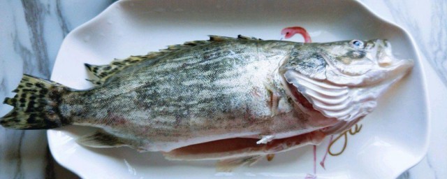 关于吃桂鱼的禁忌介绍(吃桂鱼不能吃什么)