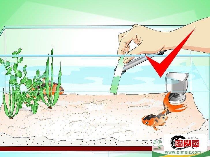 怎么挽救快死的金鱼 怎么挽救快死的金鱼