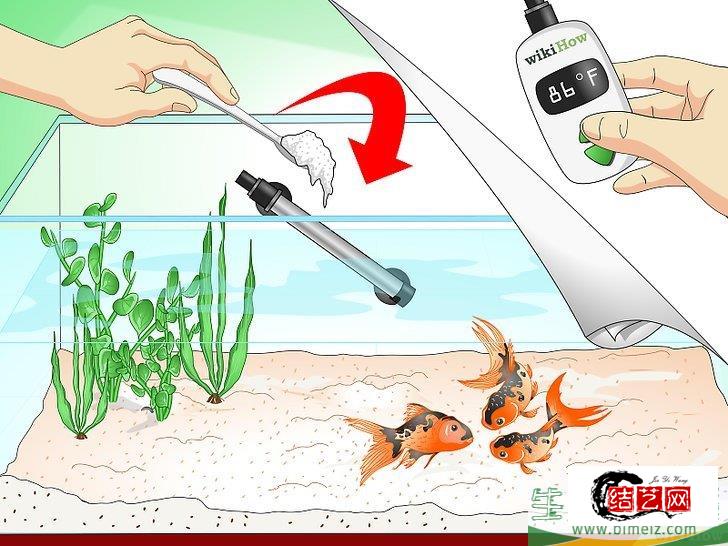 怎么挽救快死的金鱼 怎么挽救快死的金鱼