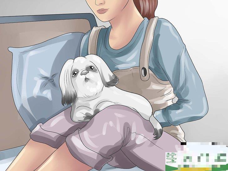 怎么让你和你的孩子接受非学校教育(孩子们究竟应该接受怎样的教育) 怎么让你和你的孩子接受非学校教育(孩子们究竟应该接受怎样的教育)