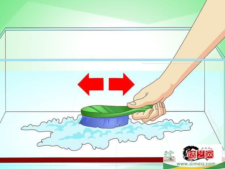 怎么挽救快死的金鱼 怎么挽救快死的金鱼