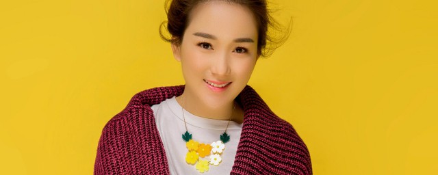 龙梅子演唱过哪些歌曲(龙梅子的经典歌曲)