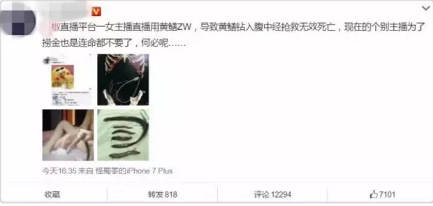 女主播黄鳝视频,鲤鱼门的视频