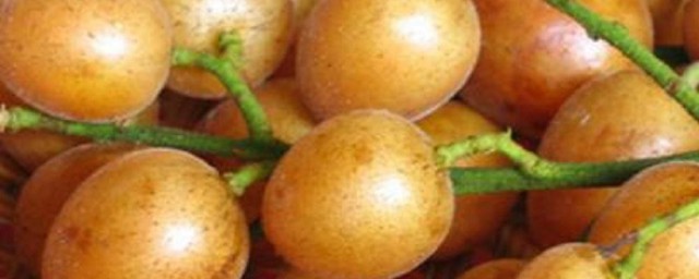 黄皮果的功效与作用与禁忌是什么(黄皮果有什么用处)