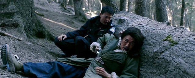 电视剧猎狼者有哪些演员(猎狼人电视剧演员)