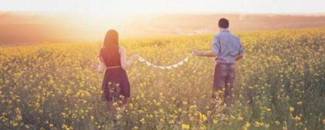 如今不会再有痴情的歌词展示(如今也不会再有痴情)