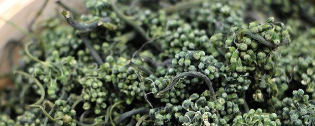 人参花泡水喝的功效和禁忌介绍(人参花泡水喝的作用)