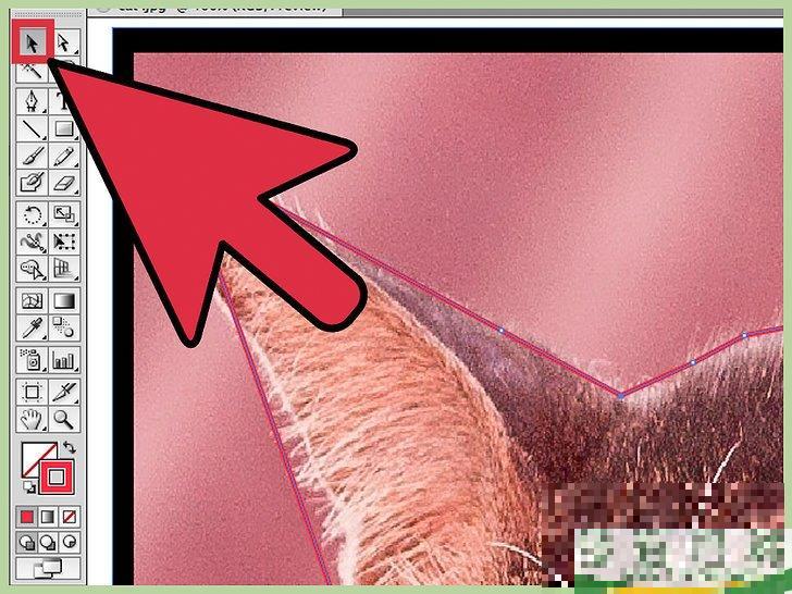 怎么在Adobe Illustrator中删除背景


