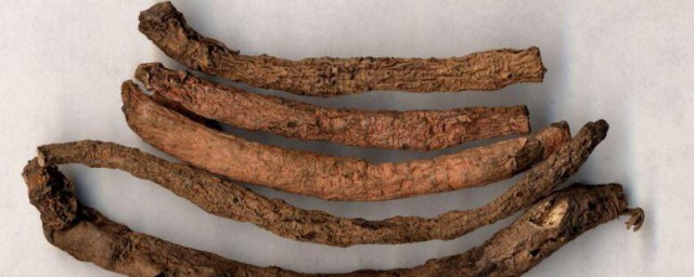 黑升麻的功效与作用及禁忌是什么(黑升麻的药性)