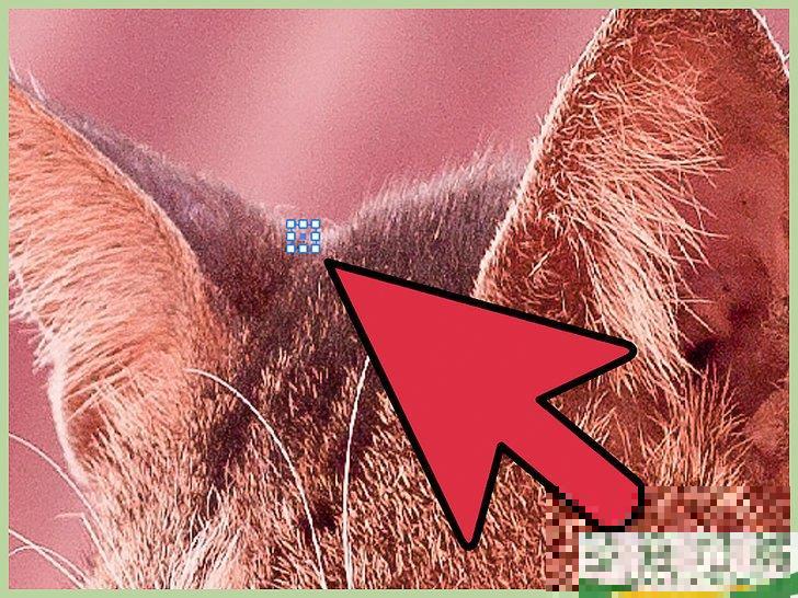 怎么在Adobe Illustrator中删除背景

