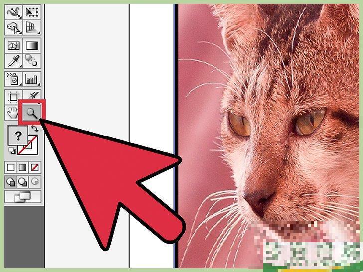 怎么在Adobe Illustrator中删除背景

