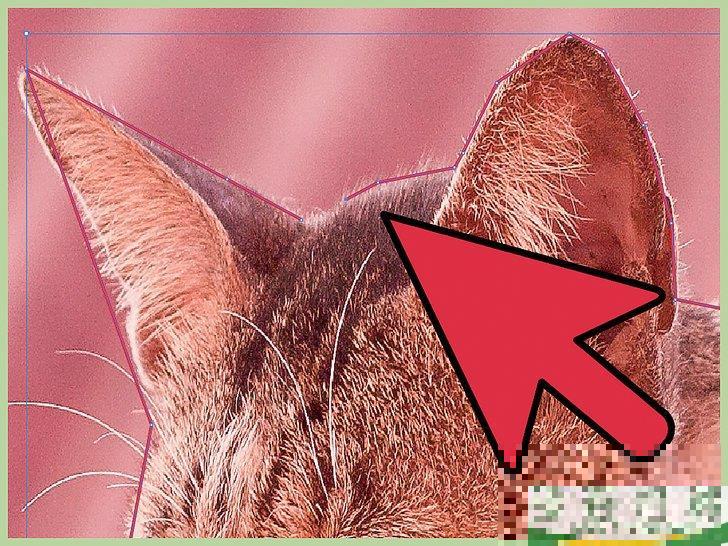 怎么在Adobe Illustrator中删除背景

