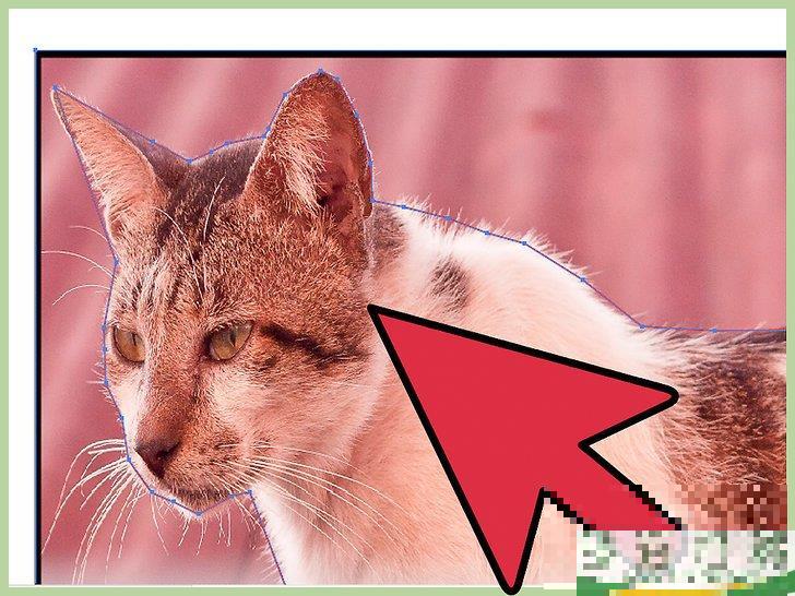 怎么在Adobe Illustrator中删除背景

