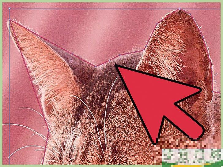 怎么在Adobe Illustrator中删除背景

