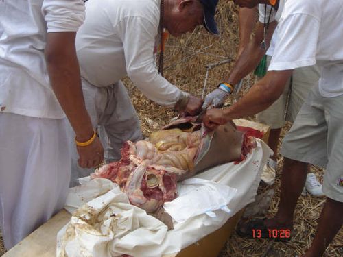 人吃人图片,吃人电梯(吃人滑梯图片) 人吃人图片,吃人电梯(吃人滑梯图片)