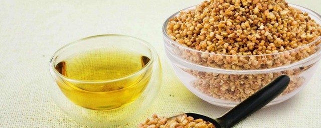 关于荞麦的功效与作用禁忌(荞麦的营养价值与功效与禁忌)