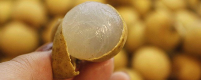 龙眼有什么功效与作用禁忌(龙眼的功效和禁忌是什么)