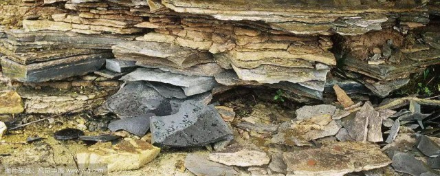 页岩的解释(页岩是什么岩的一种)