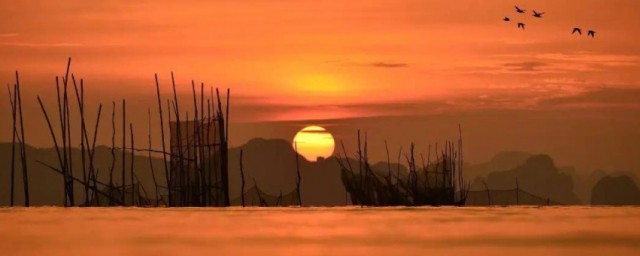 乡愁简单介绍(乡愁的内容是什么)