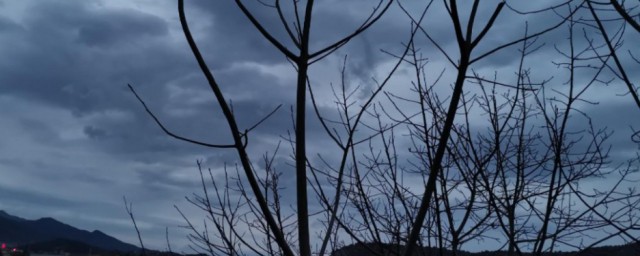 半梦半醒半浮生出自哪里(半梦半醒半浮生)