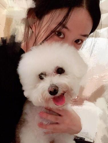 赵丽颖自拍照,赵丽颖的微信头像图(赵丽颖的头像照片) 赵丽颖自拍照,赵丽颖的微信头像图(赵丽颖的头像照片)