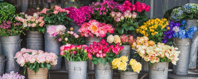 鲜花保存方法(鲜花的保鲜及保管方法)