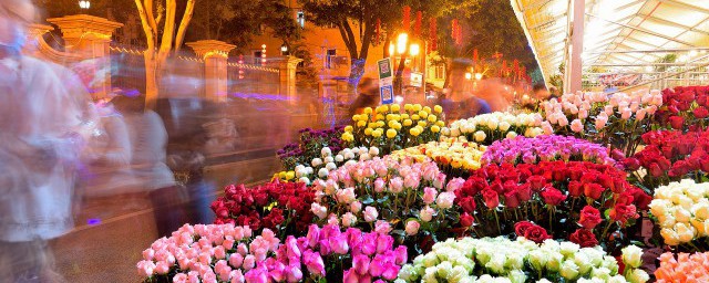 花文案有哪些(描写花文案)