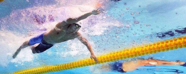 自由泳的好处与坏处介绍(自由泳对身体都有哪些好处)