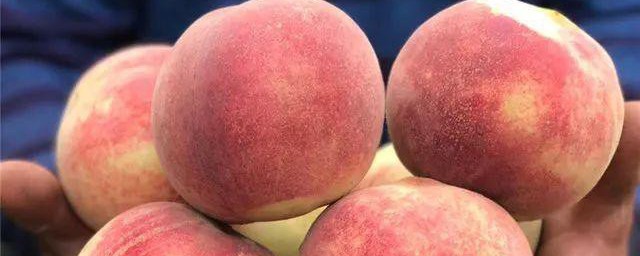 金秋红蜜桃简单介绍(金秋红蜜桃是水蜜桃吗)