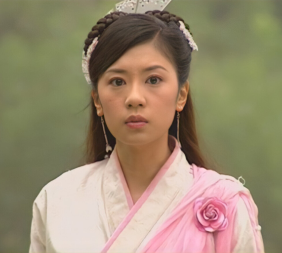 贾静雯的电视剧,贾静雯最新消息(贾静雯 电视)