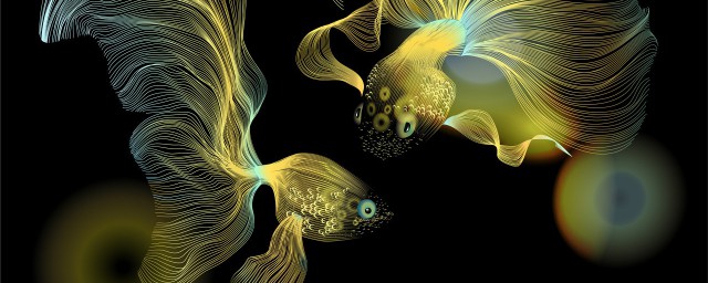 描写鱼的外形句子推荐(鱼的外貌描写句子)