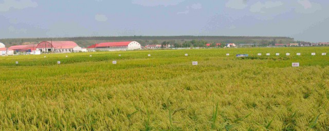 要怎样去看待(应该如何看待自己)