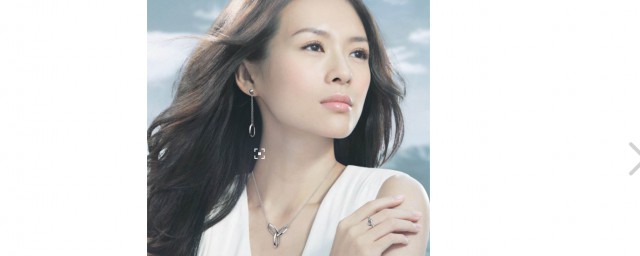 章子怡个人简介(章子怡个人资料介绍)