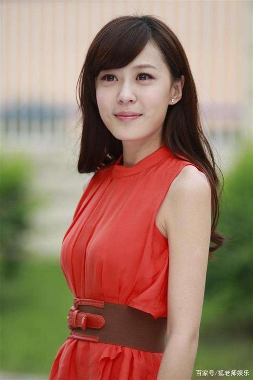 爱情公寓美嘉扮演者，《爱情公寓》(爱情公寓 美嘉扮演者)