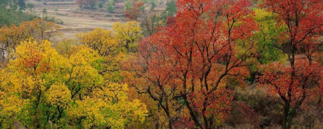 来个景点一日游吧(今日一日游最佳景点)