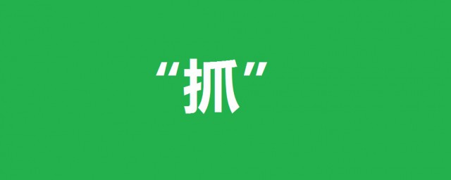 带有抓字的四字成语(抓的成语大全四个字)