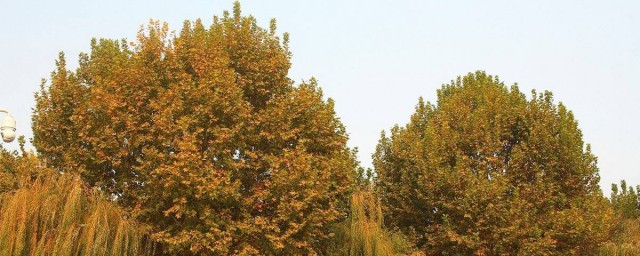 地址是什么(地址是什么英语)