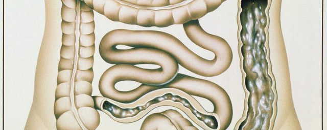 慢性肠道炎的症状(慢性肠炎的症状?)