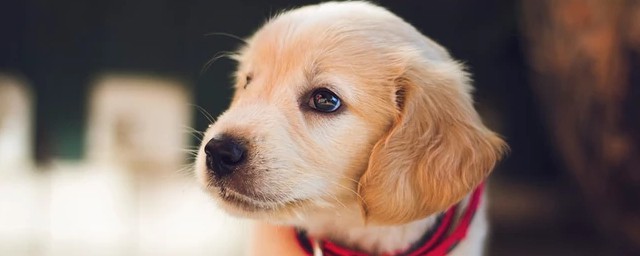 为你解答(玻璃胶真的有甲醛吗?专家为你解答)