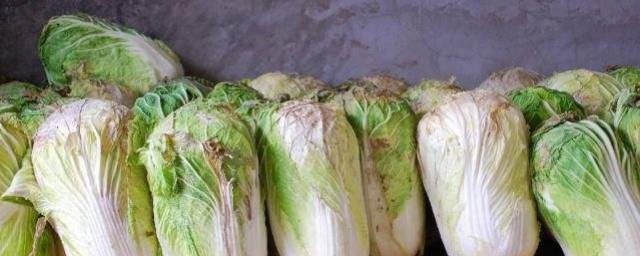 学会这样做不怕菜变坏(夏天做好的菜怎么能不坏)