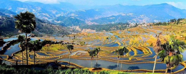 有哪些词语(有哪些词语可以表现人的品质和心情)