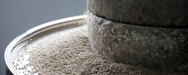 长期食用能提高免疫力(有助于免疫力提高的食物)