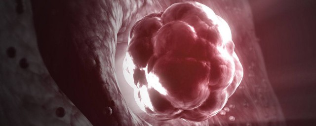 捐卵卵子怎么取出(捐卵用什么取卵)