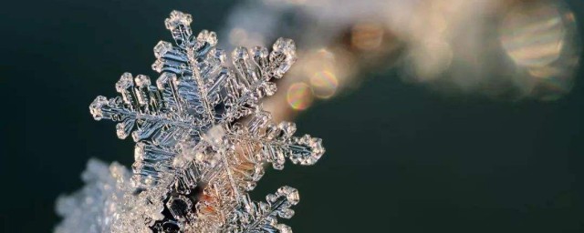 又见雪花飞是谁唱的(又见雪花飞歌名)