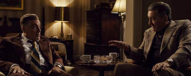 爱尔兰人剧情简介(爱尔兰人结局解析)