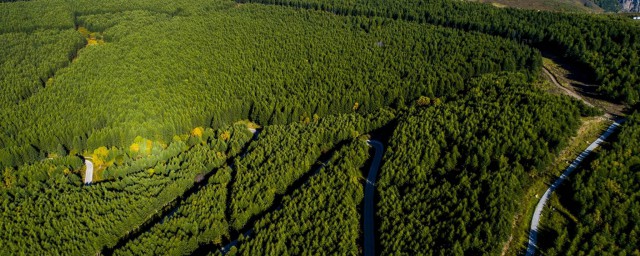 主峰海拔多高(海拔最高的峰是什么峰)