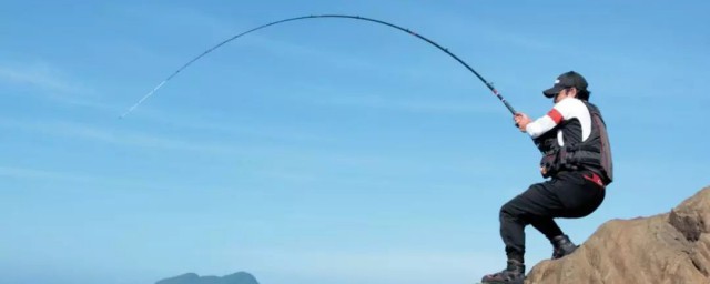 根据对象鱼来选择(对象鱼什么意思)